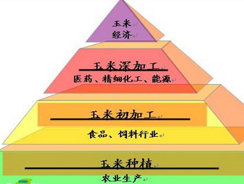 河南糧院玉米深加工設(shè)備提供玉米經(jīng)濟(jì)金字塔